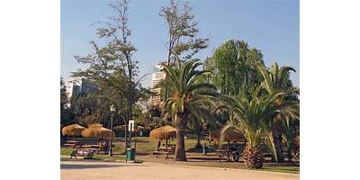 Pehuenche