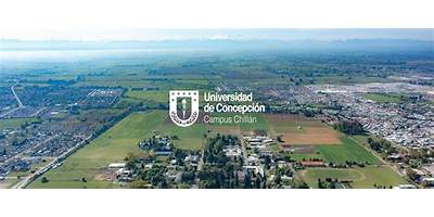 Pequeã‘Itos Udec