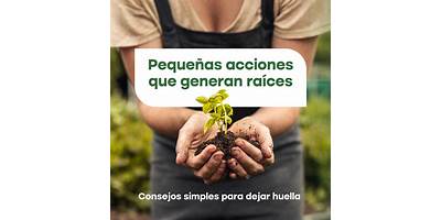 Pequeñas Raices