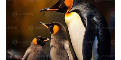 Pingüinitos