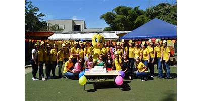 Piolin