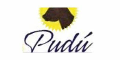 Pudu