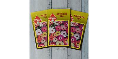 Rayito de Sol