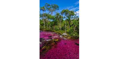Río de Colores
