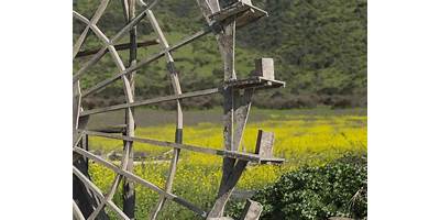 Rueditas de Larmahue sala cuna JUNJI Pichidegua