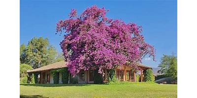 Sagrado Corazon de Huelquen sala cuna JUNJI Paine