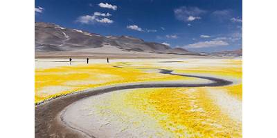 Salas cuna en Gorbea