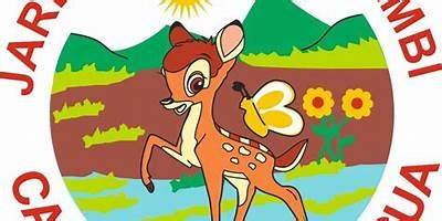 S.C. Bambi