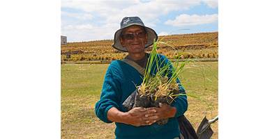 Sembrando Huellas sala cuna JUNJI Paillaco