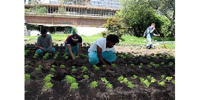 Sembrando Sueños sala cuna Fundación Integra Rancagua