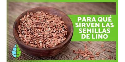 Semillas de Lo Abarca