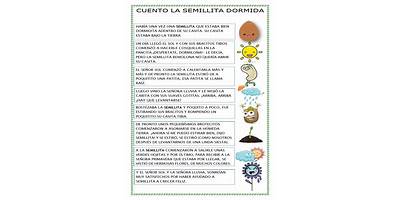 Semillita de Camiña