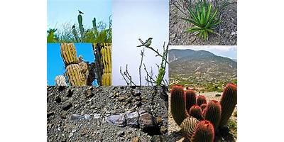 Sol del Desierto sala cuna Fundación Integra María Elena