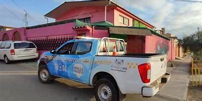 Tortuguita