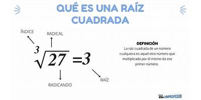 Uniendo Raices