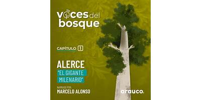 Villa el Bosque